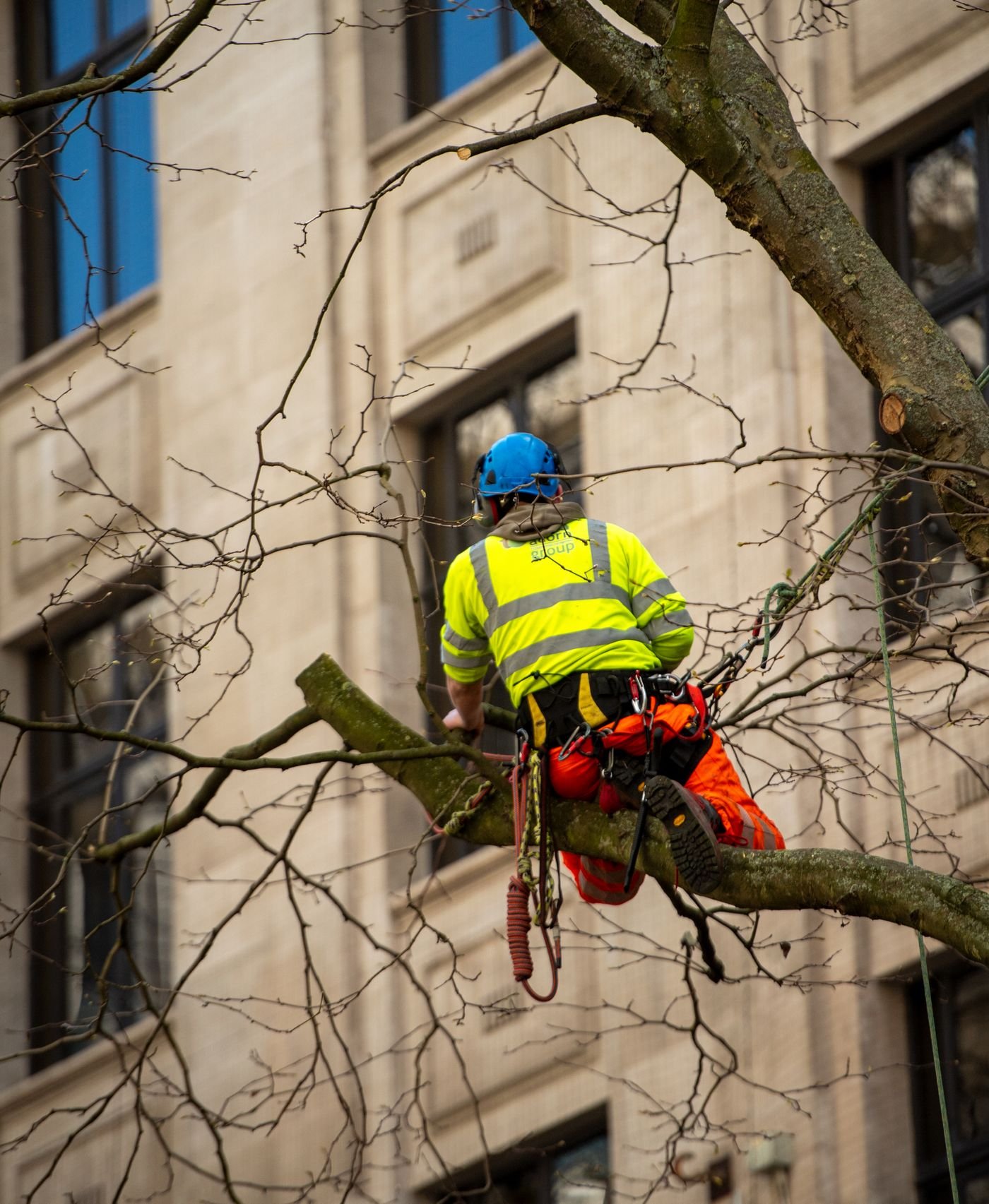 Do You Tip Tree Removal Crews?