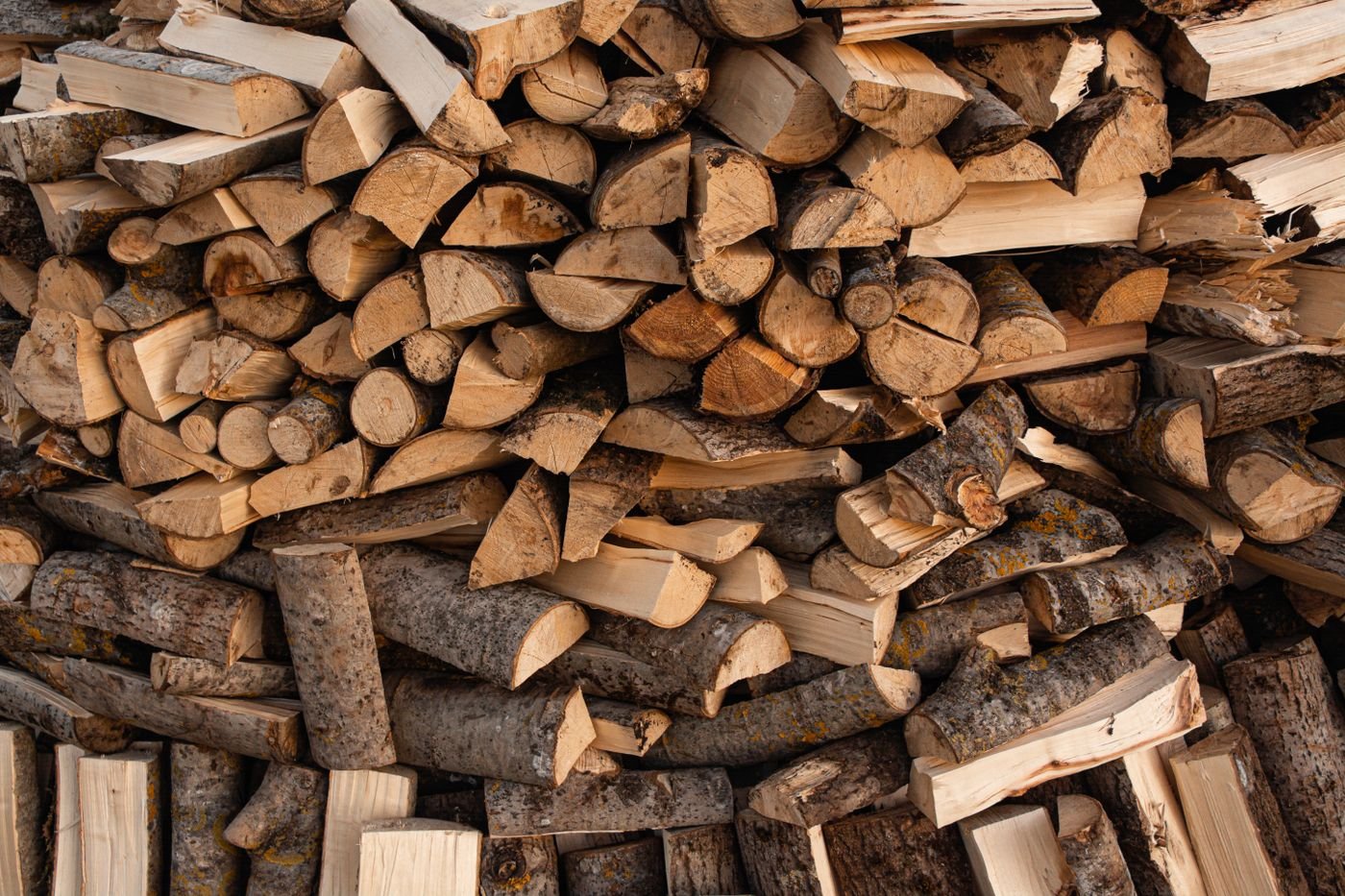 What to Do With Wood Chips After Tree Removal